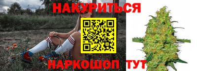 стаф Обнинск