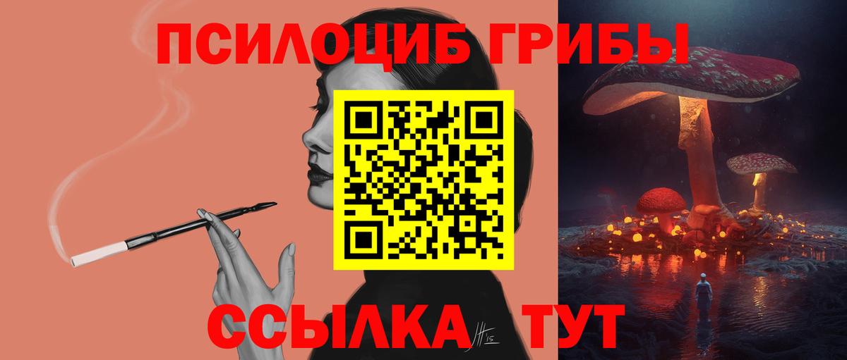 Псилоцибиновые грибы Psilocybe  Вход с VPN  Армавир 